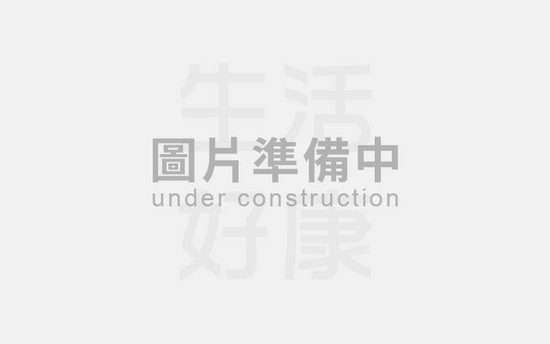 鋁粉 (粉狀)