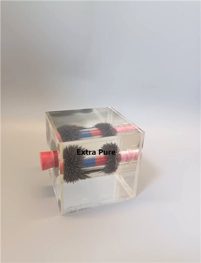 立體磁力線觀察器